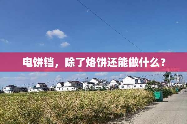 电饼铛，除了烙饼还能做什么？