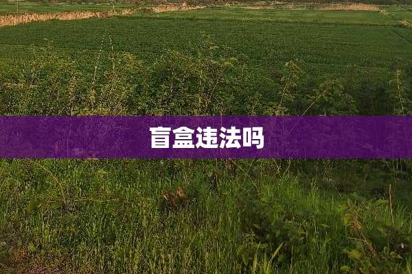 盲盒违法吗