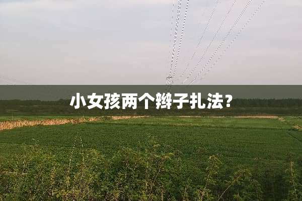 小女孩两个辫子扎法？