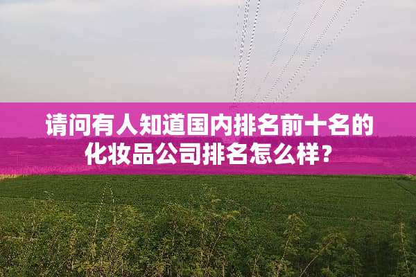 请问有人知道国内排名前十名的化妆品公司排名怎么样？