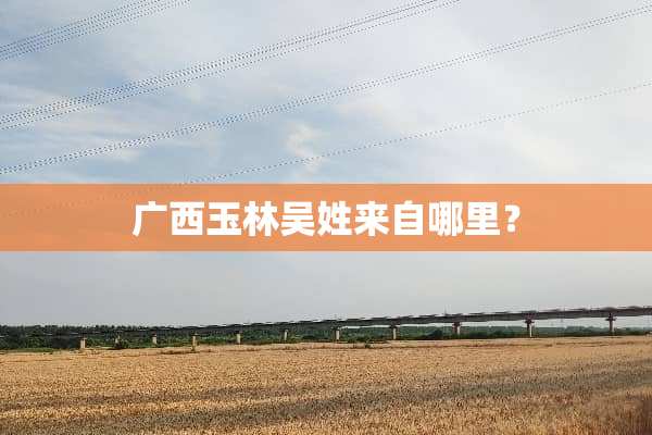 广西玉林吴姓来自哪里？
