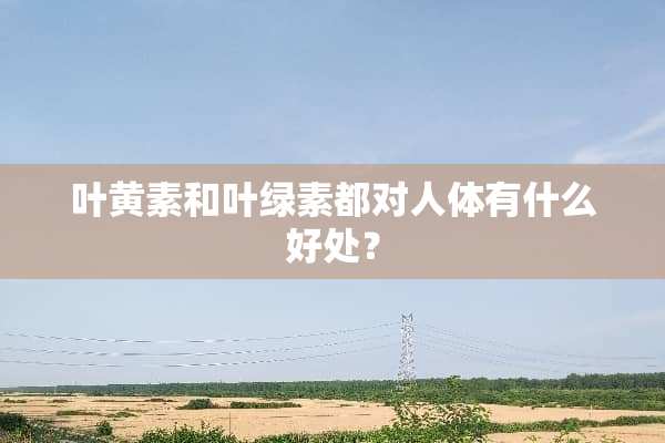 叶黄素和叶绿素都对人体有什么好处？