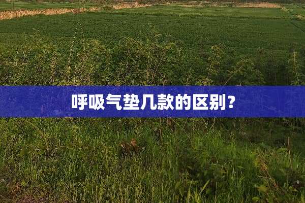 呼吸气垫几款的区别？