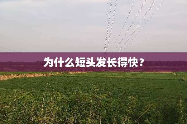 为什么短头发长得快？