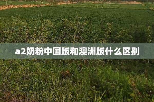a**粉中国版和澳洲版什么区别