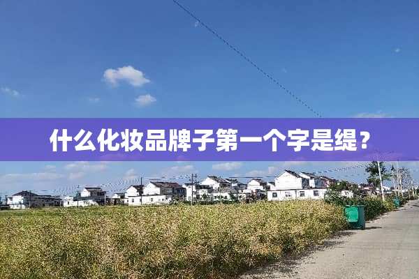 什么化妆品牌子第一个字是缇？