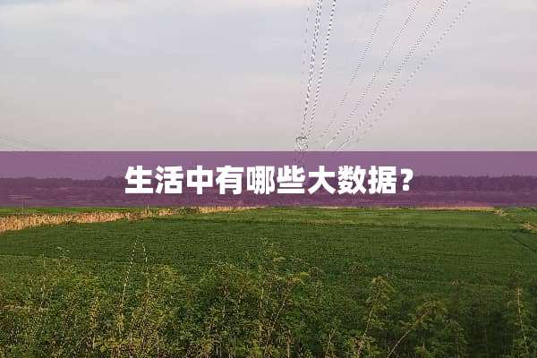 生活中有哪些大数据？