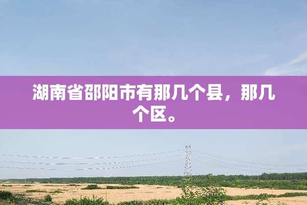 湖南省邵阳市有那几个县，那几个区。