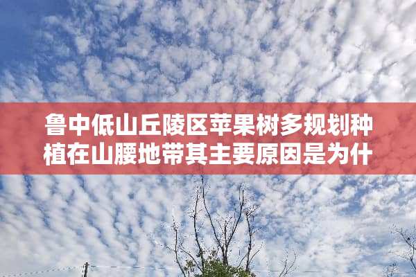 鲁中低山丘陵区苹果树多规划种植在山腰地带其主要原因是为什么