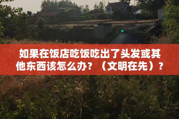 如果在饭店吃饭吃出了头发或其他东西该怎么办？（文明在先）？