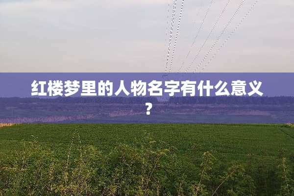 红楼梦里的人物名字有什么意义？
