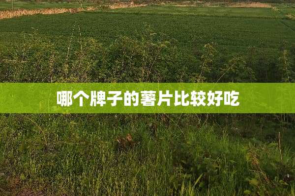 哪个牌子的薯片比较好吃