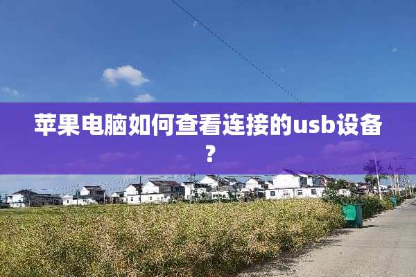 苹果电脑如何查看连接的usb设备？