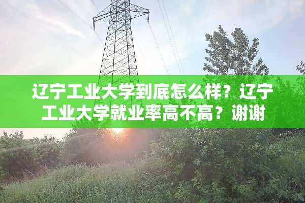 辽宁工业大学到底怎么样？辽宁工业大学就业率高不高？谢谢