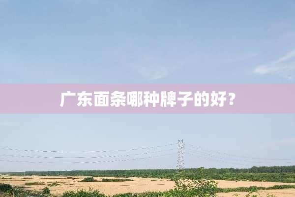 广东面条哪种牌子的好？