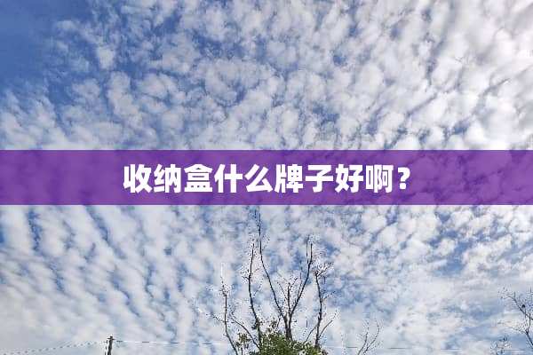 收纳盒什么牌子好啊？