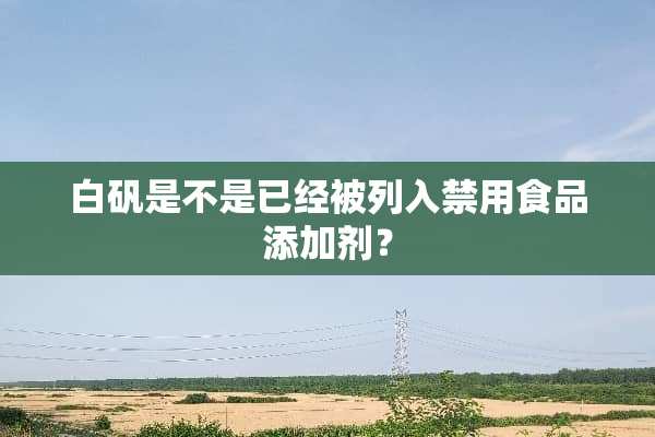 白矾是不是已经被列入禁用食品添加剂？