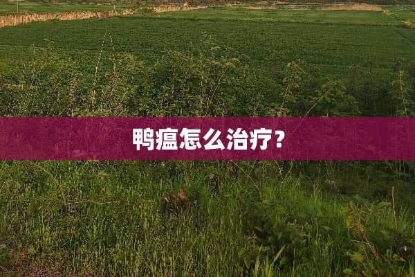 鸭瘟怎么治疗？