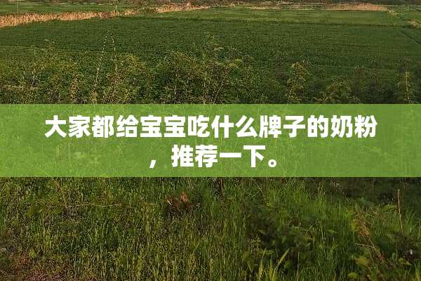 大家都给宝宝吃什么牌子的奶粉，推荐一下。