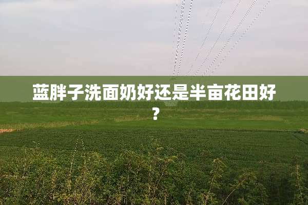 蓝胖子洗面奶好还是半亩花田好？