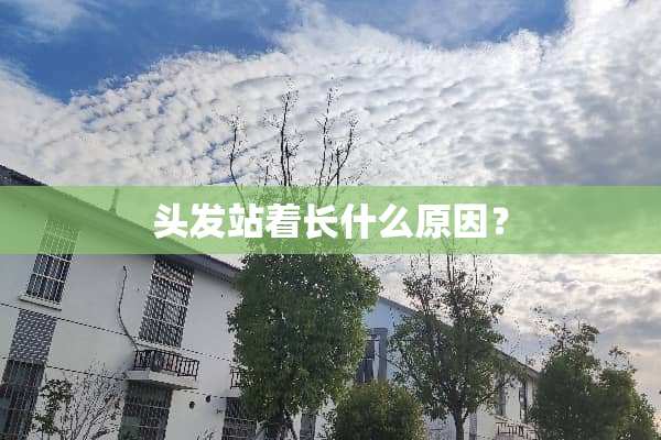 头发站着长什么原因？