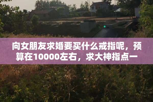 向女朋友求婚要买什么戒指呢，预算在10000左右，求大神指点一下