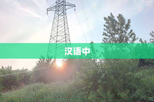 汉语中