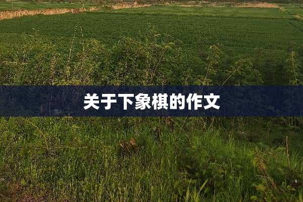 关于下象棋的作文