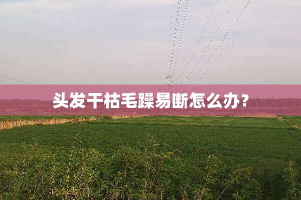头发干枯毛躁易断怎么办？