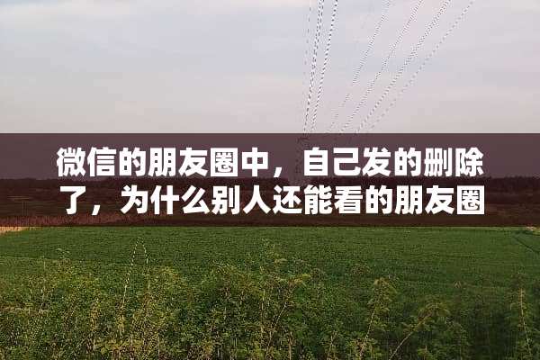微信的朋友圈中，自己发的删除了，为什么别人还能看的朋友圈中仍然能看到？