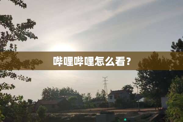 哔哩哔哩怎么看？