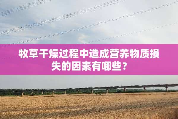 牧草干燥过程中造成营养物质损失的因素有哪些？
