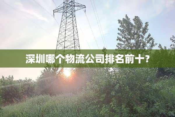 深圳哪个物流公司排名前十？
