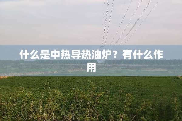 什么是中热导热油炉？有什么作用