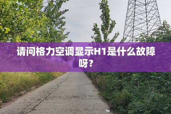 请问格力空调显示H1是什么故障呀？