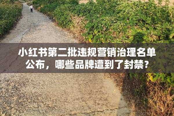 小红书第二批违规营销治理名单公布，哪些品牌遭到了封禁？