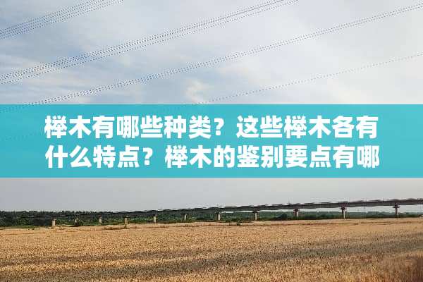 榉木有哪些种类？这些榉木各有什么特点？榉木的鉴别要点有哪些？
