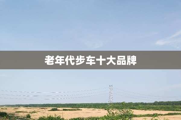 老年代步车十大品牌
