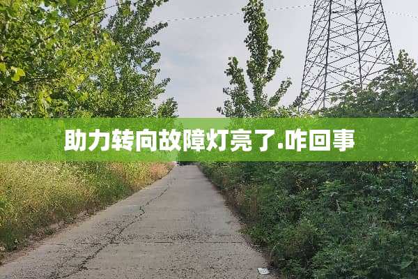 助力转向故障灯亮了.咋回事