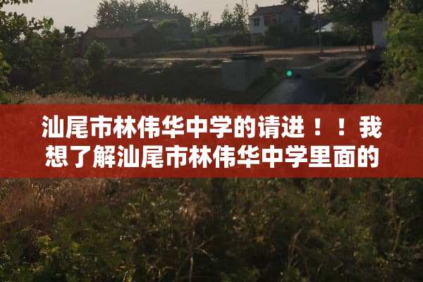 汕尾市林伟华中学的请进 ！！我想了解汕尾市林伟华中学里面的环境