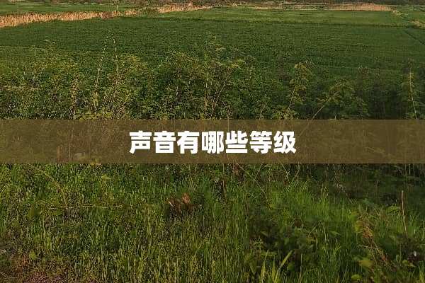 声音有哪些等级