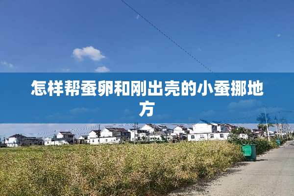 怎样帮蚕卵和刚出壳的小蚕挪地方