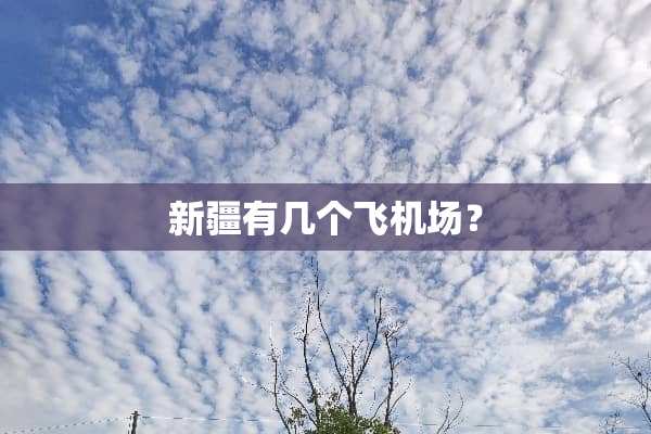 新疆有几个飞机场？