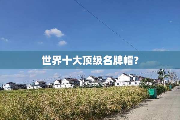 世界十大**名牌帽？