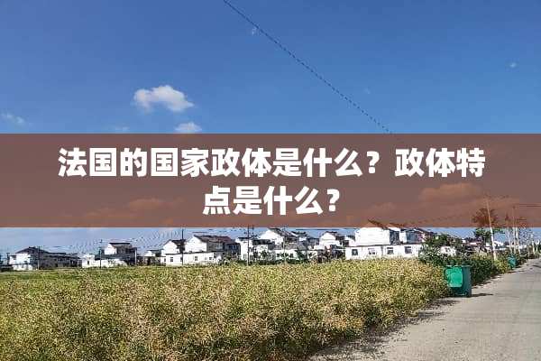 法国的国家政体是什么？政体特点是什么？