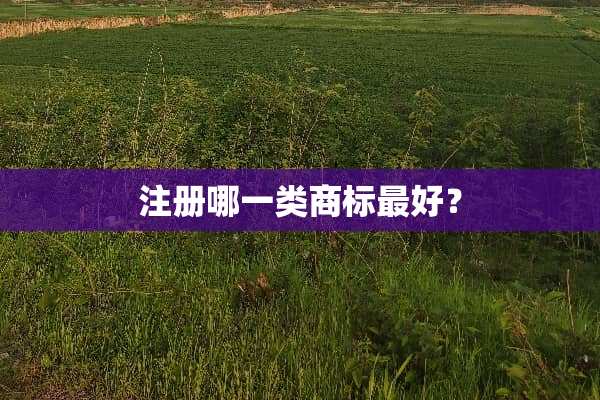 注册哪一类商标最好？