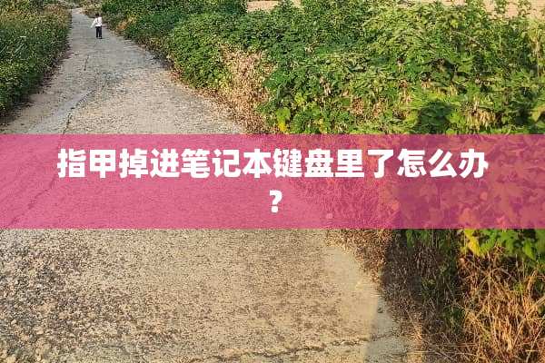 指甲掉进笔记本键盘里了怎么办？