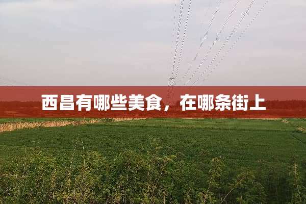 西昌有哪些美食，在哪条街上