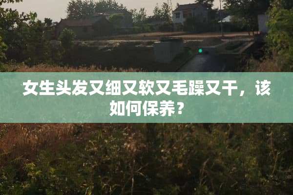 女生头发又细又软又毛躁又干，该如何保养？