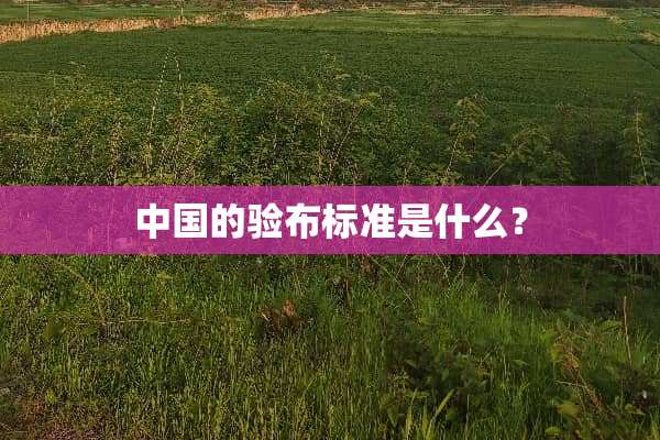 中国的验布标准是什么？